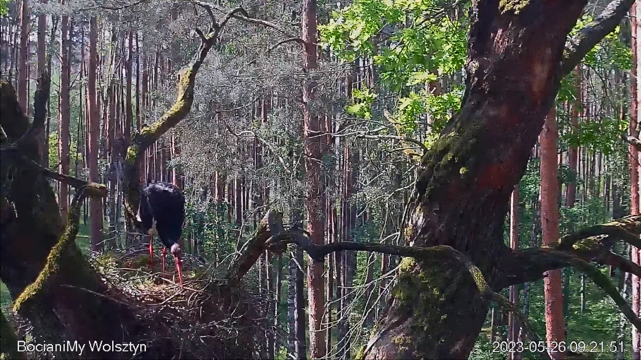 Zrzut ekranu (14088)