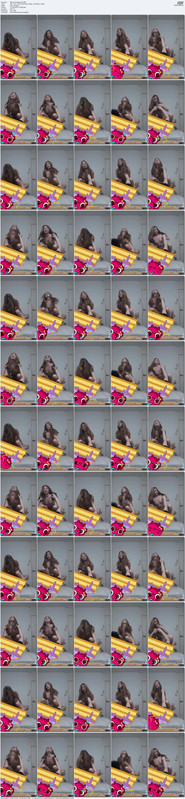 Asian Scandalnet (3) MP4