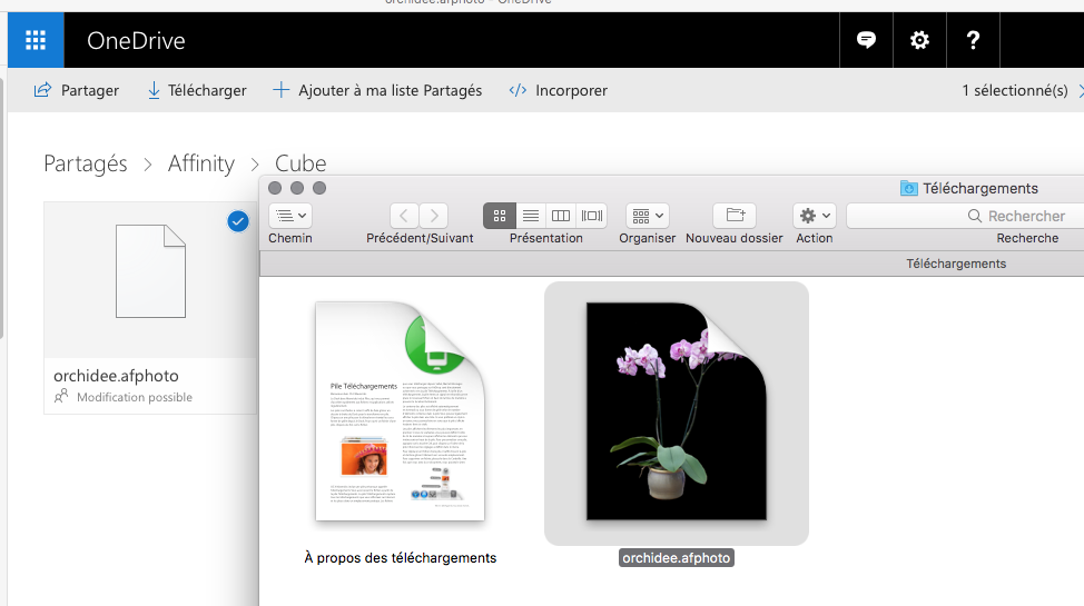 Capture d’écran 2017-06-16 ? 12.15.08