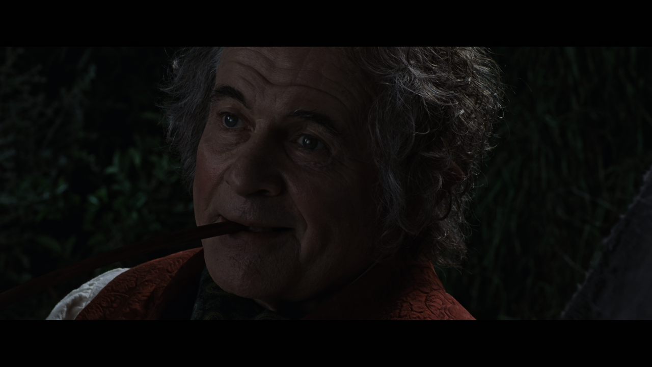 The Lord of the Rings- The Fellowship of the Ring (EXT.) PT. 1.mkv_snapshot_00.19.54_[2020.12.05_21.