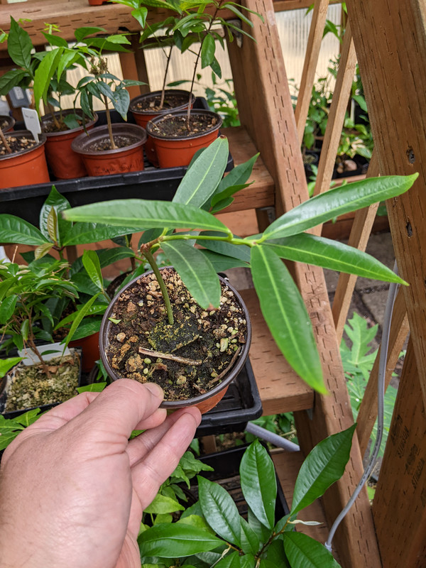 PXL_20230724_190436528