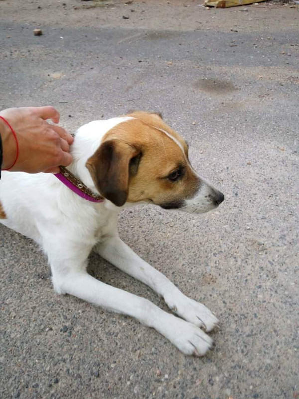 34726103_1268814889915675_4431941950622400512_n