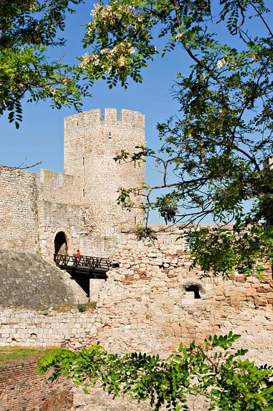 slika-2368-X3-M7256-Opservatorija-i-bagrem.jpg