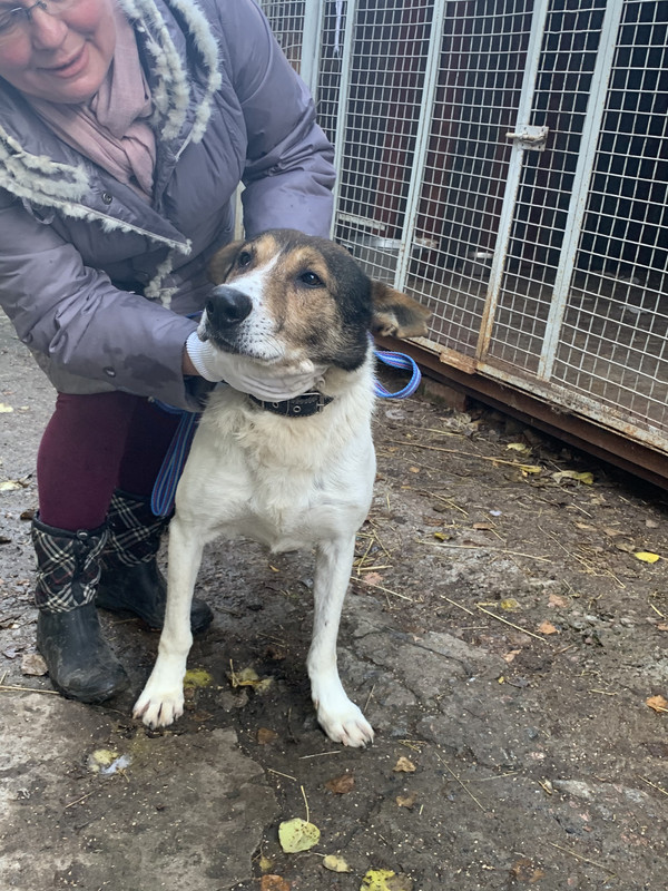 4CEE97D6-A8EC-4386-BEFD-A27E43AD6B57