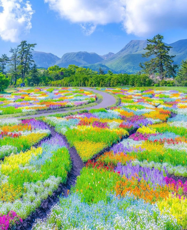 Screenshot_20240420_000550_Threads