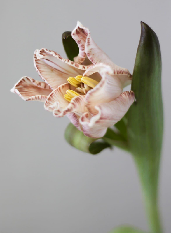 WhatsApp Image 2023-03-04 at 10.48.34 (1)