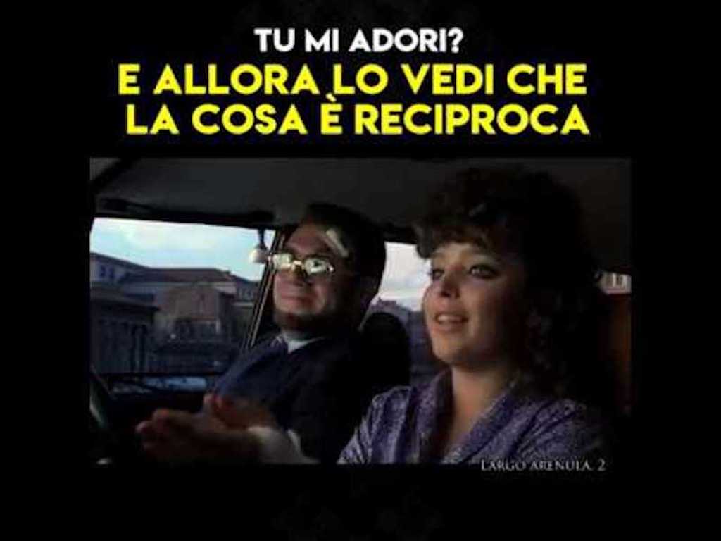 TU MI ADORI