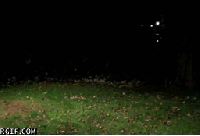 1669914991801377.gif