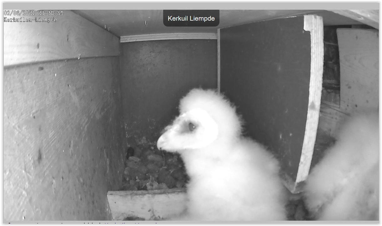 Screen Shot 06-02-21 at 11.30 PM 001