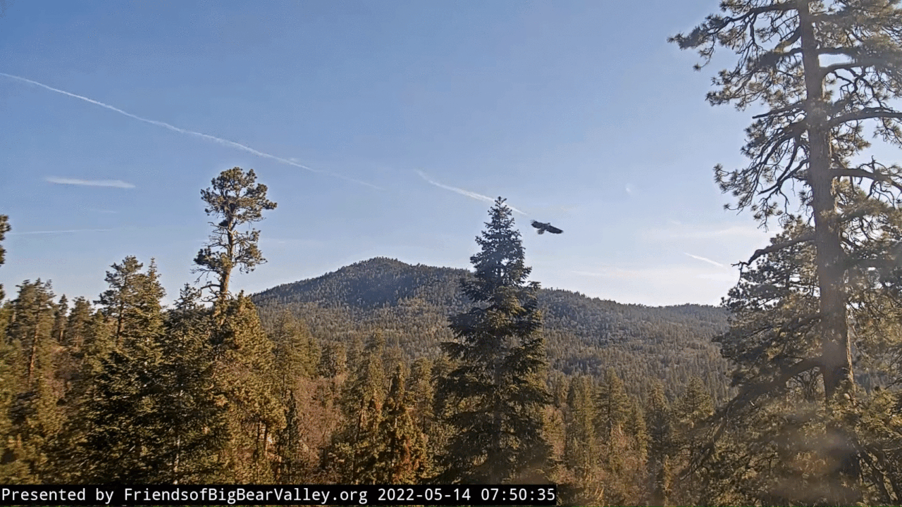 Webp.net-gifmaker (6)