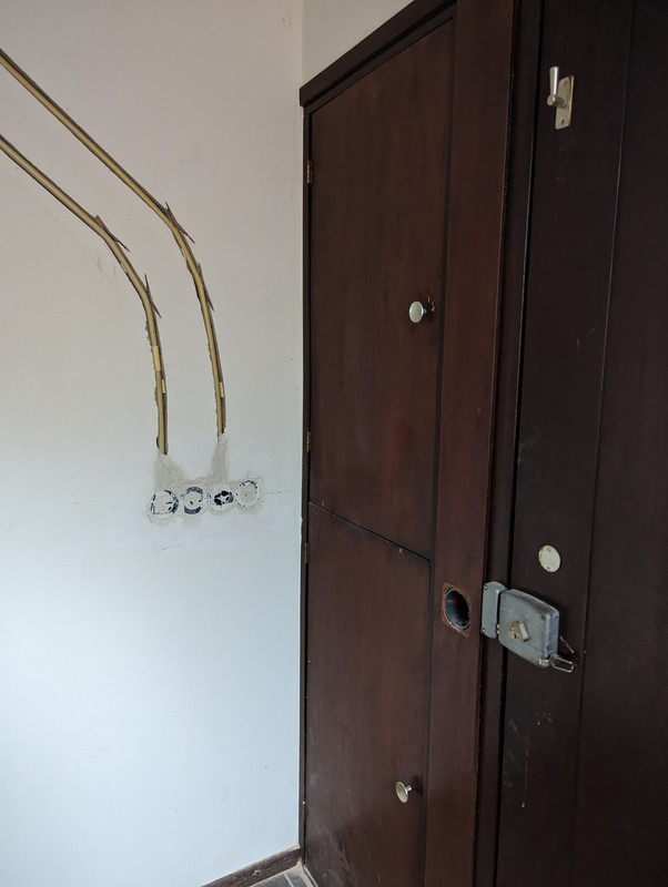 PXL-20231019-144246961.jpg