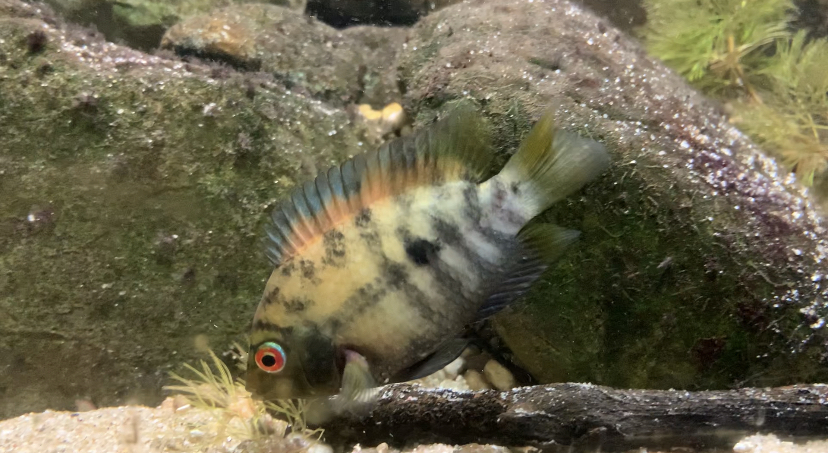 21840FB5-5B87-493B-BBA2-A2CF50F4BCEE