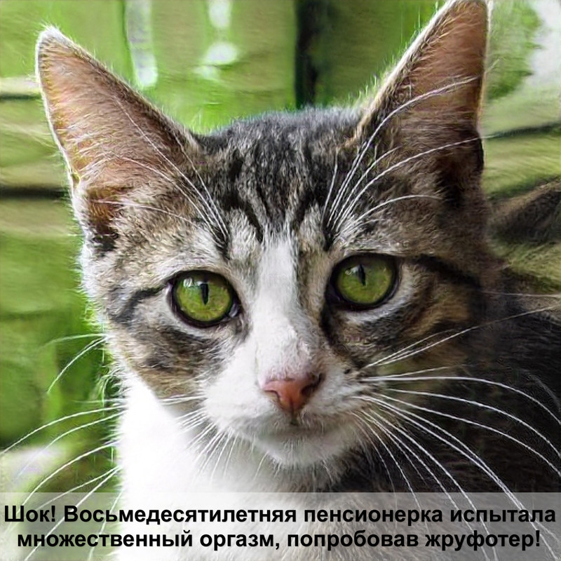 ягуар самая быстрая кошка