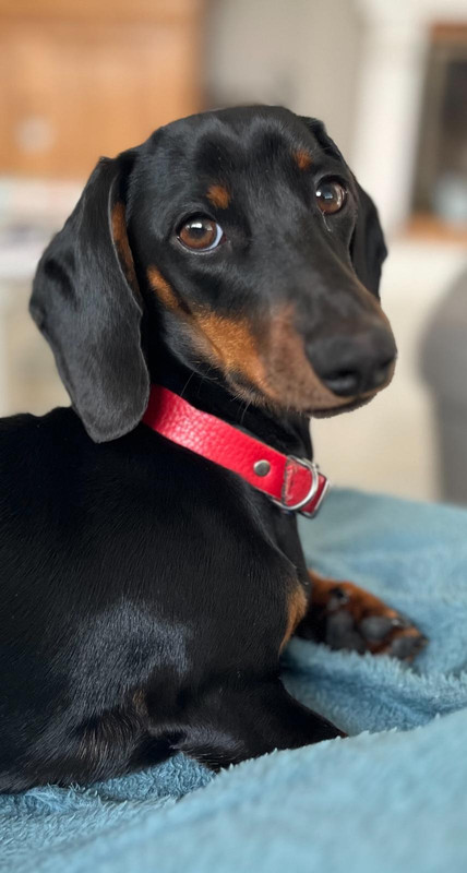 [Image: IMG-20250307-WA0002.jpg]