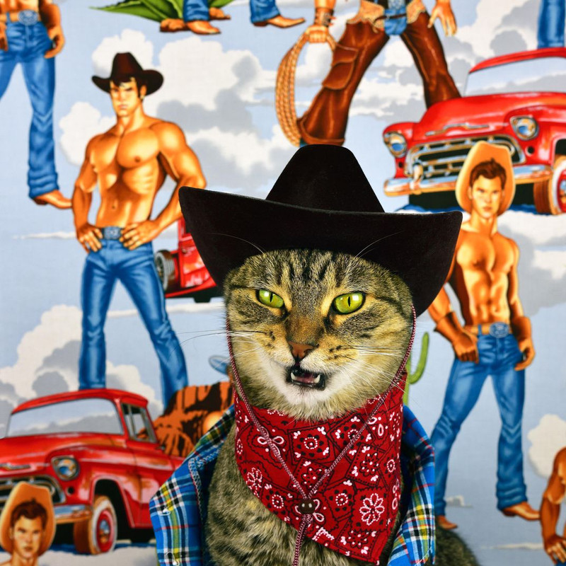 [Image: cat-cowboy2-billy-the-kitten-ch-6.jpg]