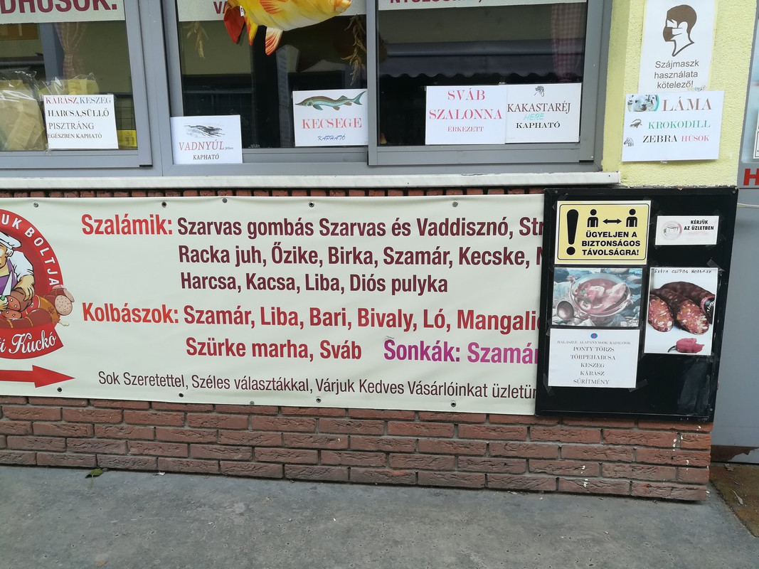 Kép