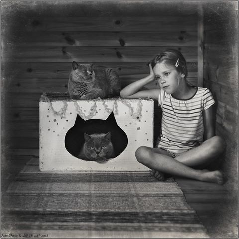 11220861-862638653802227-3147565514471067027-n