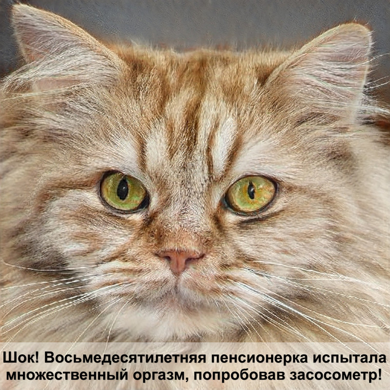 кормушка для котов с дозатором