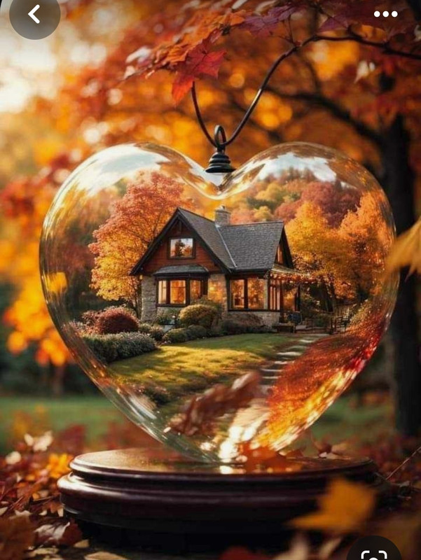 Screenshot_20231207_200822_Pinterest