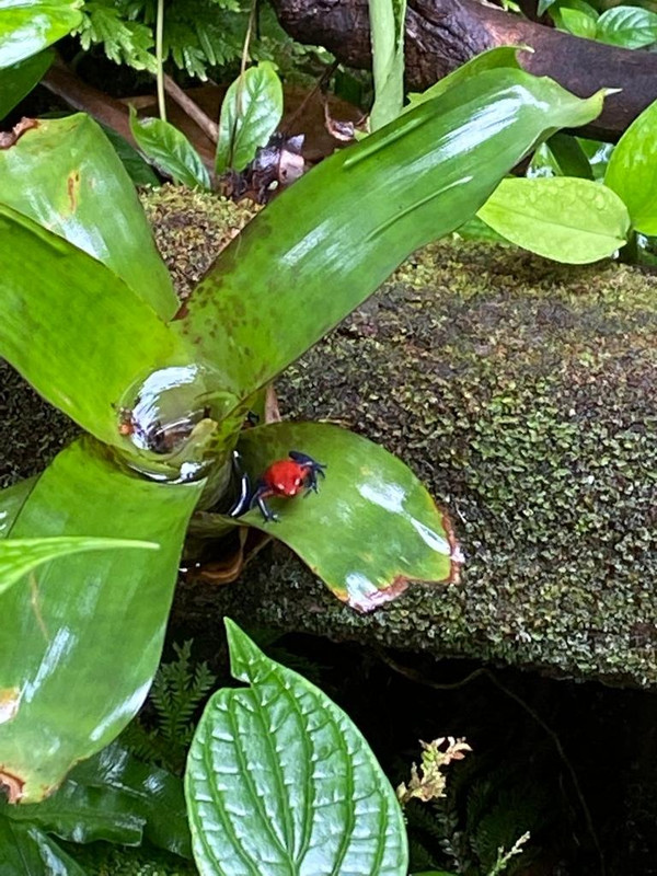 26639973-3962-4CDA-9ED0-84D6C7E696D7