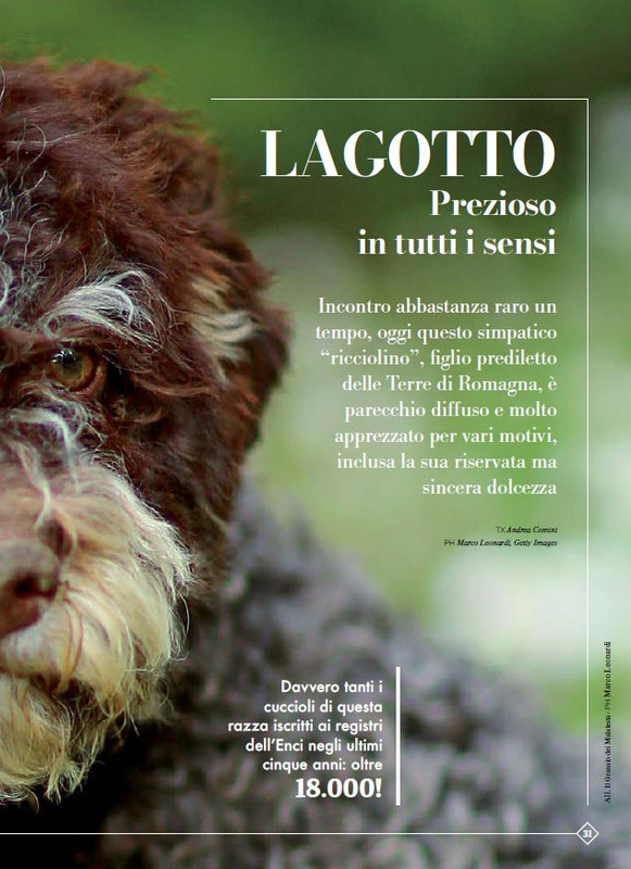 Argos Ott-Nov 2023 (2)