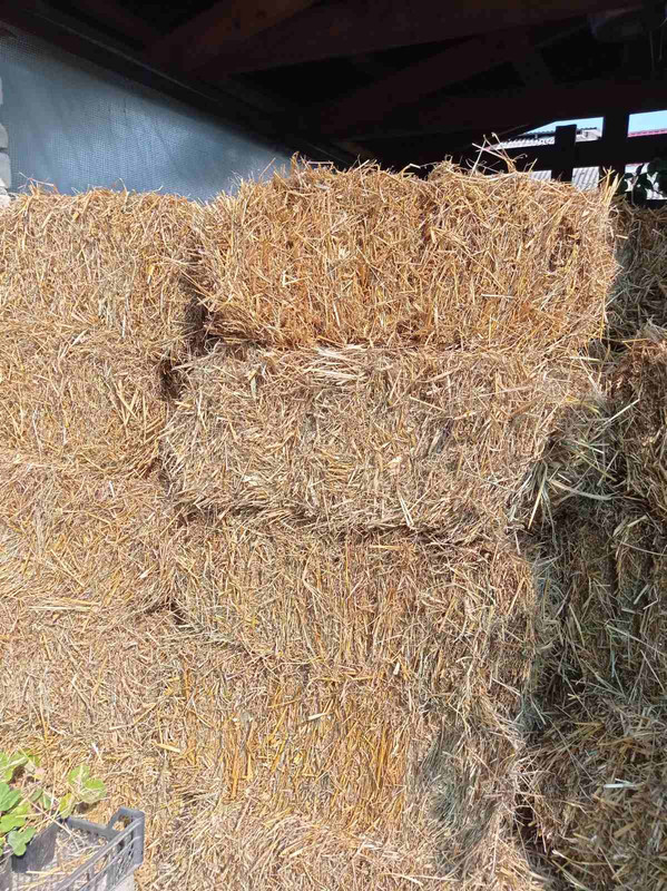 Солома - склад