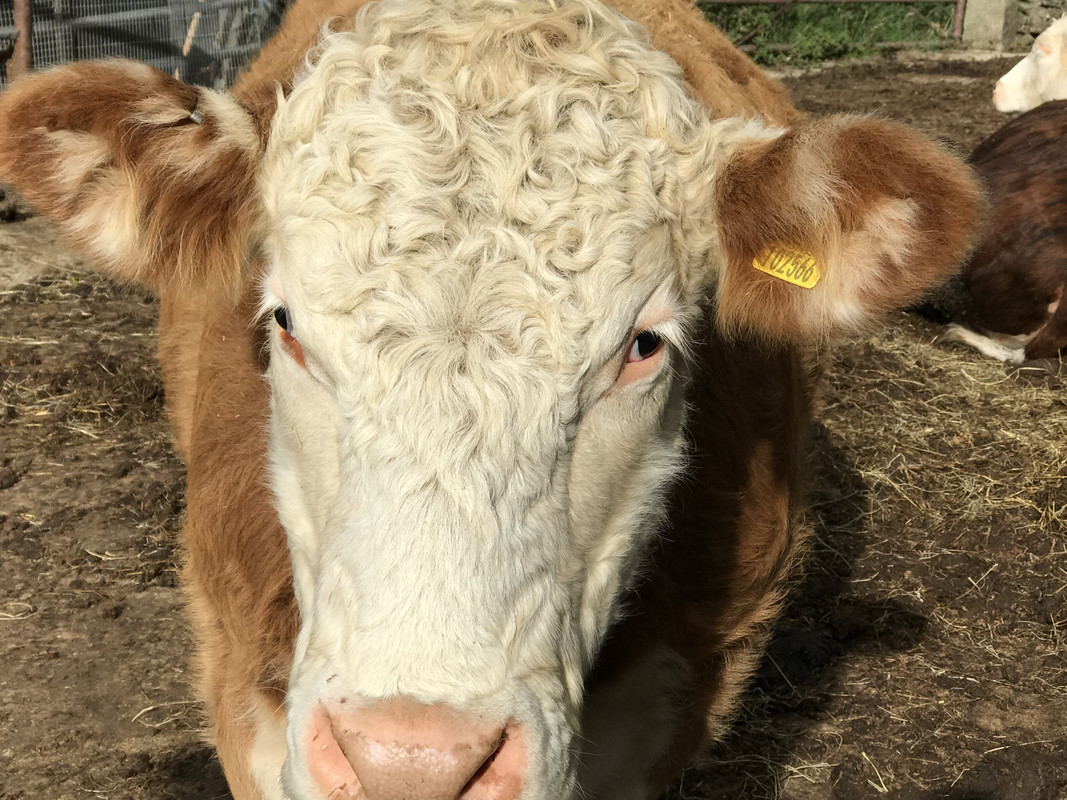 5C12F474-3E36-405E-BA99-0EB9733697FC