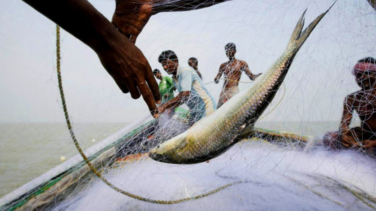 মধ্যরাত থেকে জাটকা ধরায় আট মাসের নিষেধাজ্ঞা
