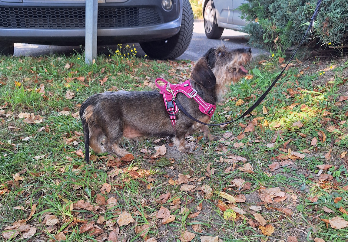 [Image: 20240804-150739.jpg]