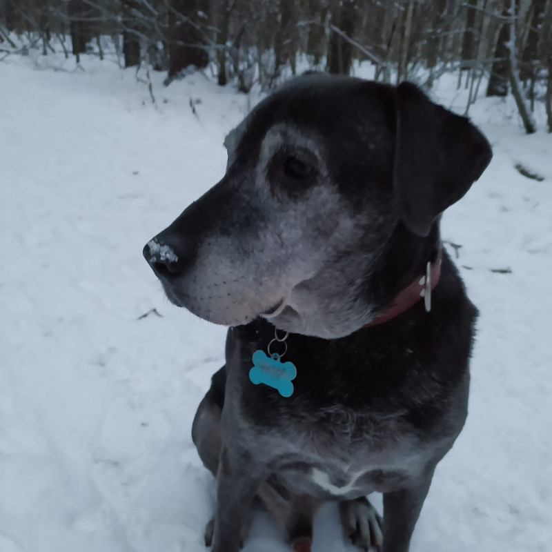 3F661F60-03C5-474B-B277-F958C42531BE