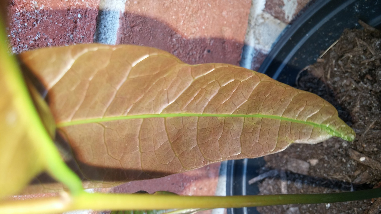 20150908_175730