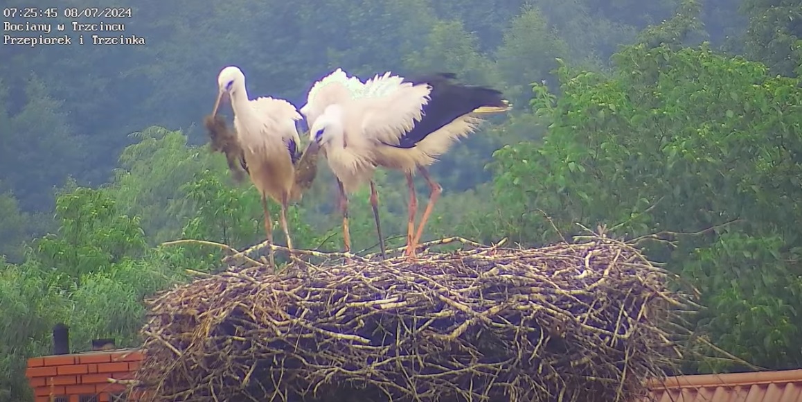 niezmienniebawimysiesiankiem