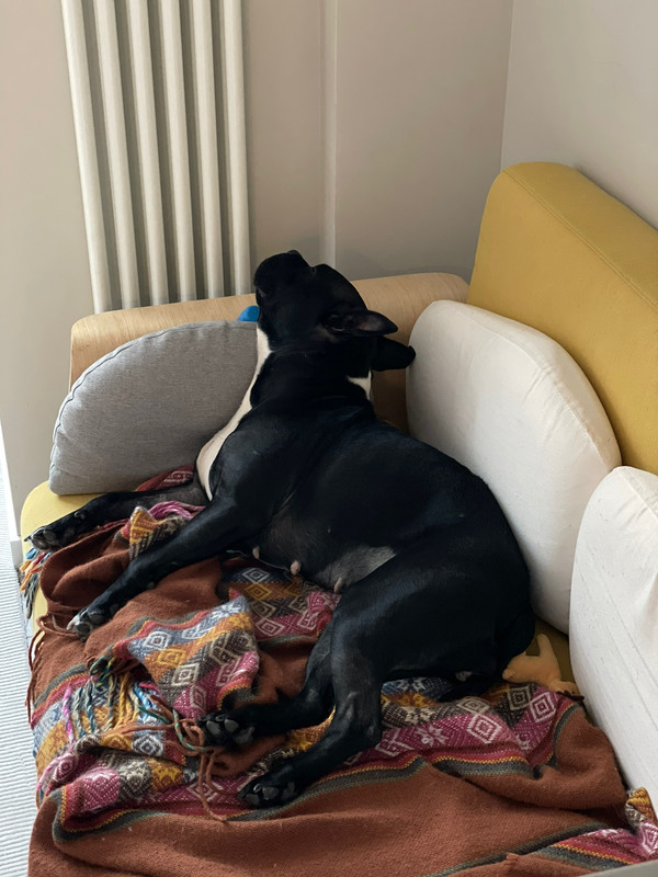 16A61F6C-FAEC-4383-B235-8782298616F1