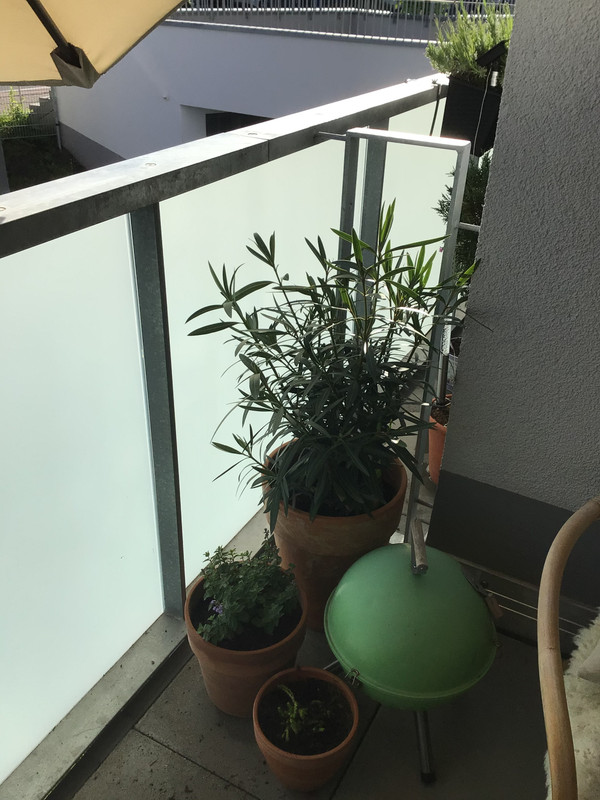 664914DD-F80C-42E9-A439-BFC6DEC95889