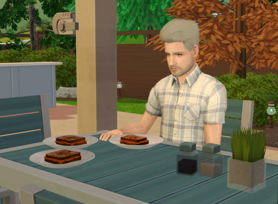 Sims2-EP9-RPC-2024-05-12-12-52-14-66