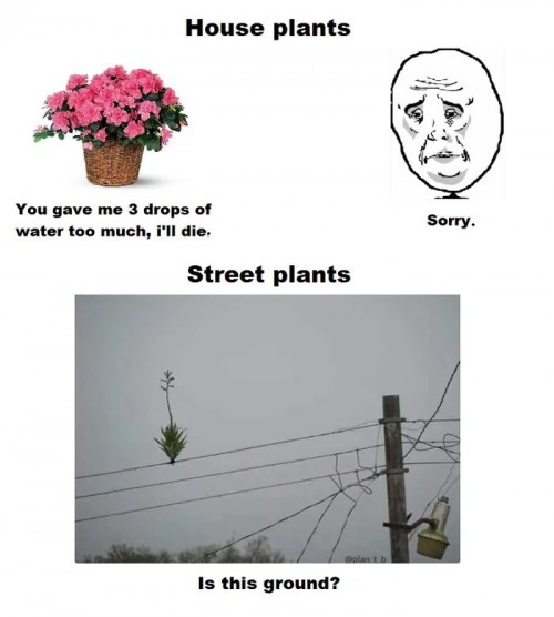 thumbs-picdump771-008.jpg