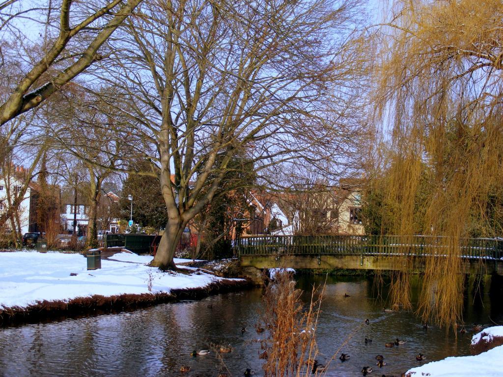 DSCF6788-jpg-original.jpg