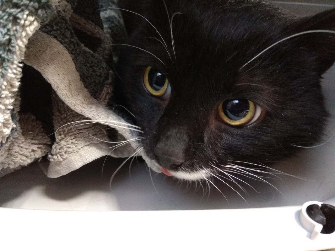 перед операцией2