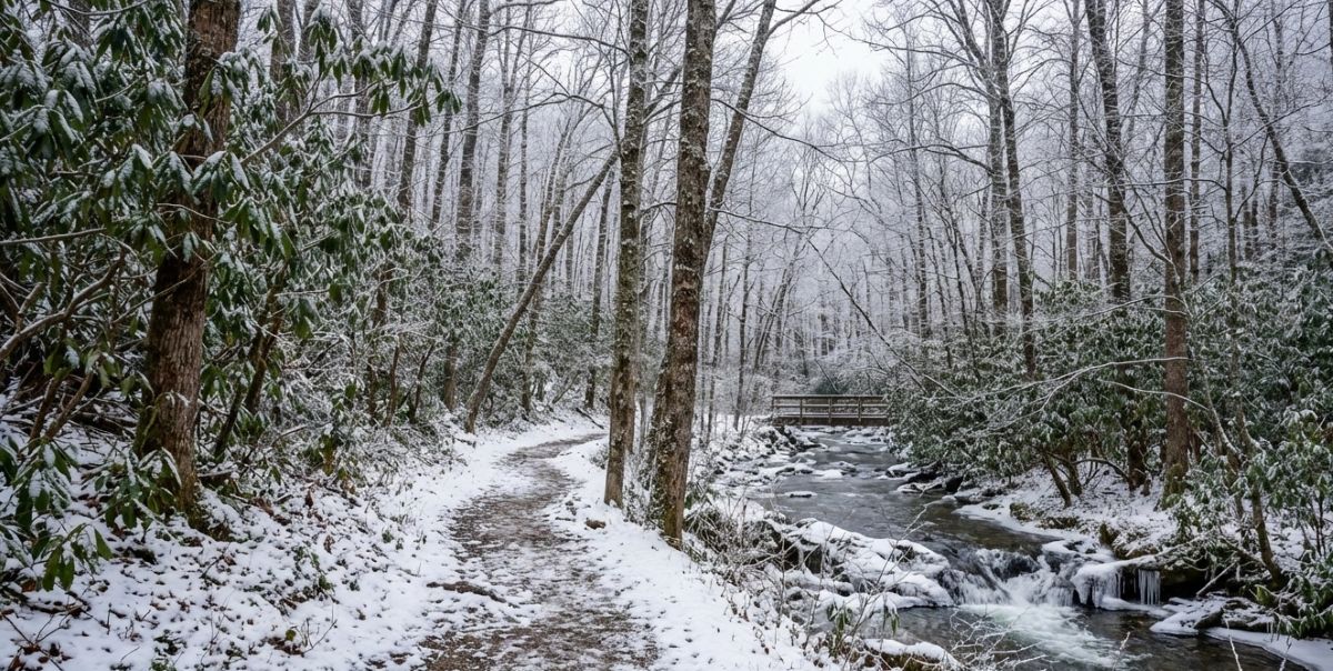 7 Easy Smoky Mountain Hikes for Winter Days