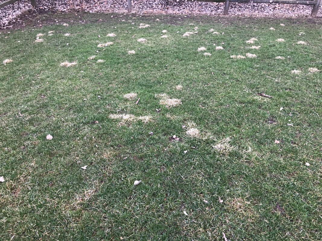 97D11C92-1AEB-4305-A89E-E97CD515F229