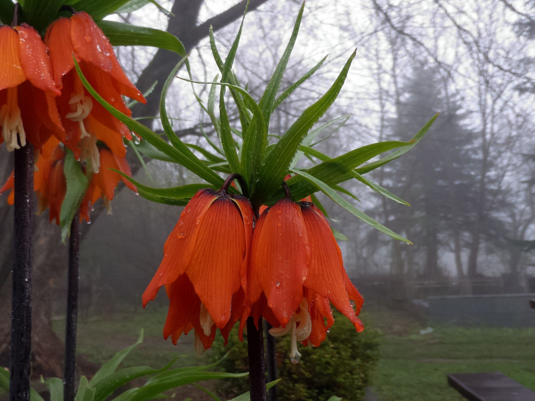 342028650-2413761315448985-1048091693272