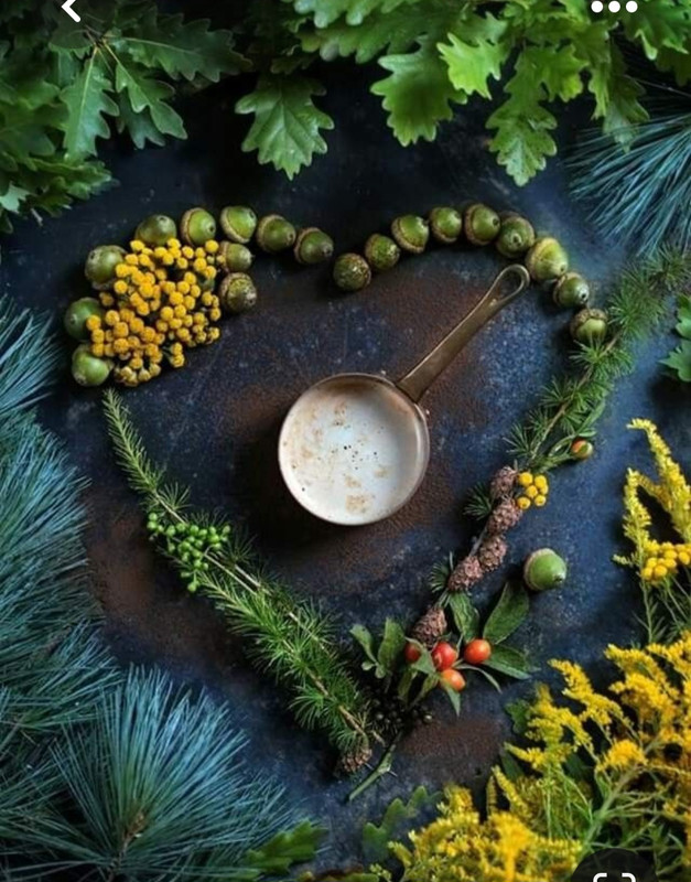 Screenshot_20230819_220714_Pinterest