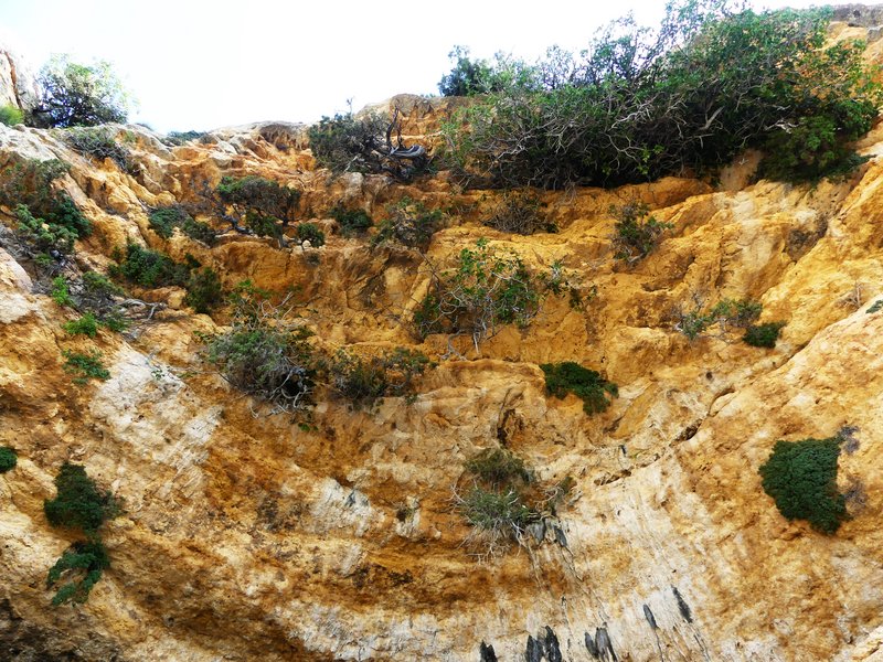 CUEVAS DE ZAEN-24-7-2020 - Murcia y sus pueblos-1991/2022 (13)