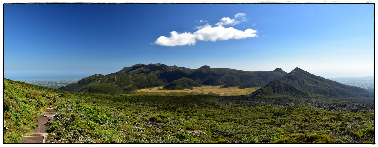 Escapadas y rutas por la Nueva Zelanda menos conocida - Blogs de Nueva Zelanda - Egmont / Taranaki NP: Pouakai Circuit (marzo 2021) (14)