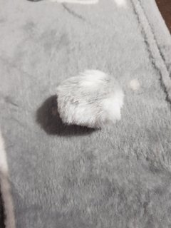 20230103-170734.jpg