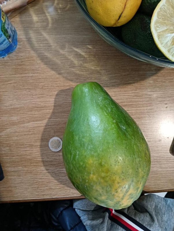 IMG20250428112933.thumb.jpg.7b0d2a0f7df75b4424e616e16d268f99 (1)