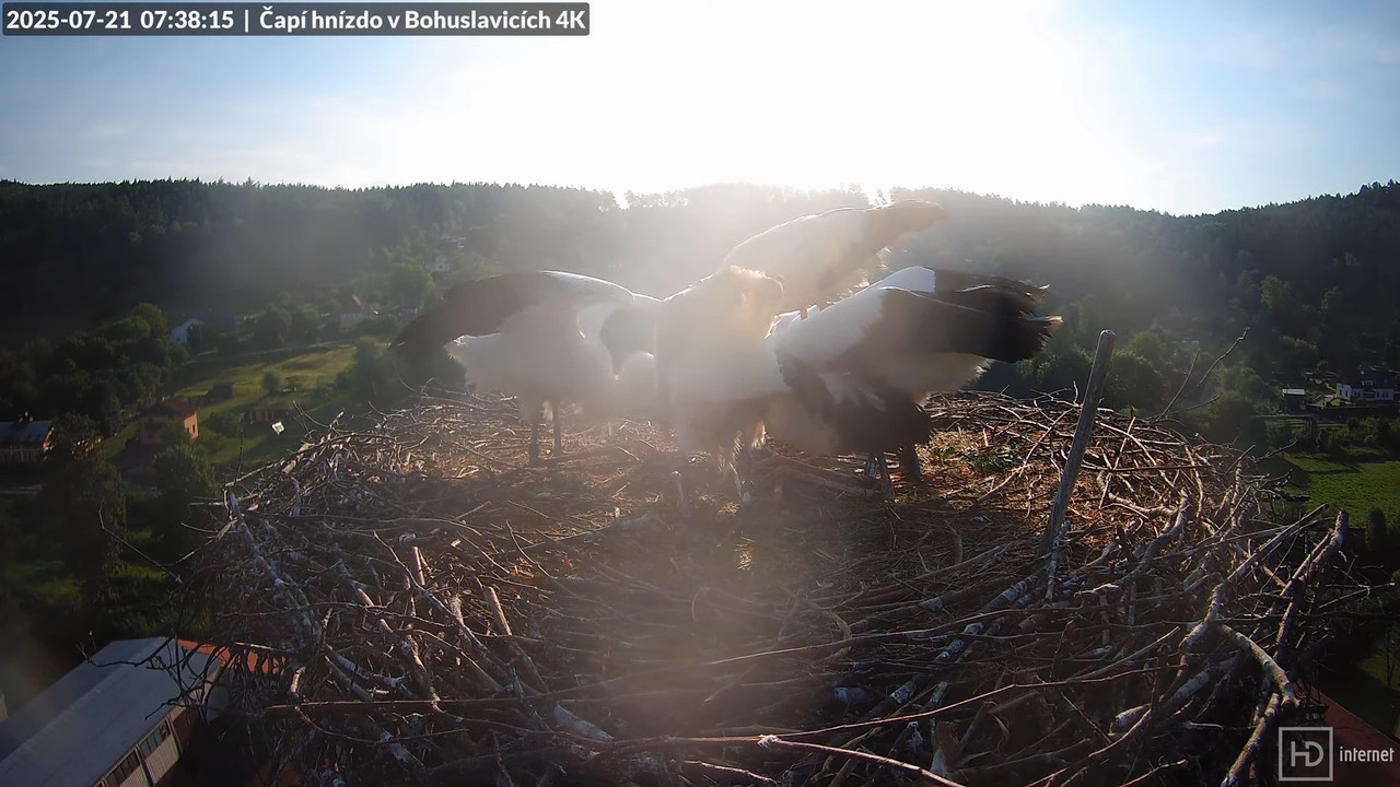 Tiešraide no KARA uzņēmuma stārķu skursteņa Bohuslavicē netālu no Trutnovas 7-43-38 screenshot