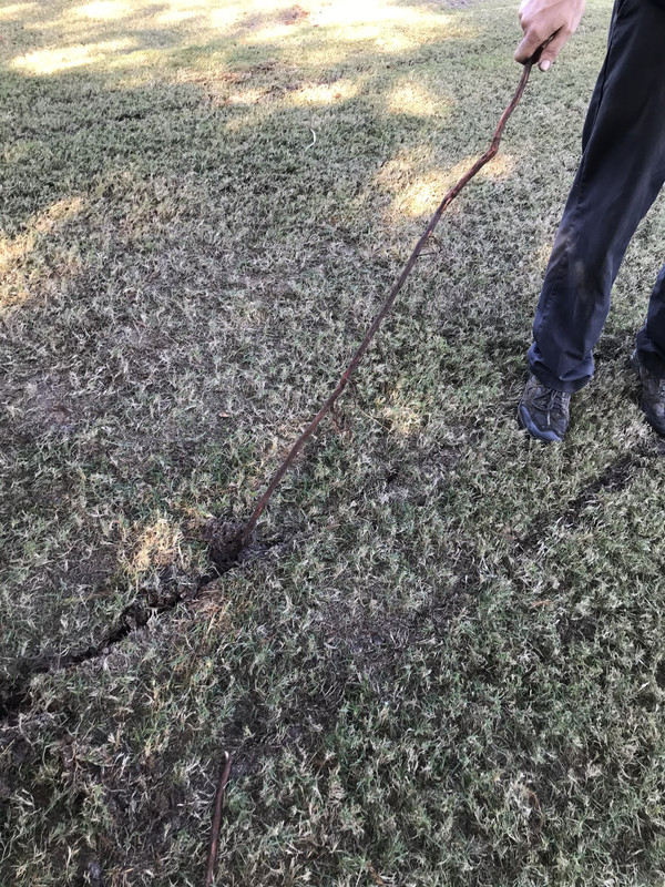 1EDE5E17-5E43-408B-B5FE-06C85E94D692