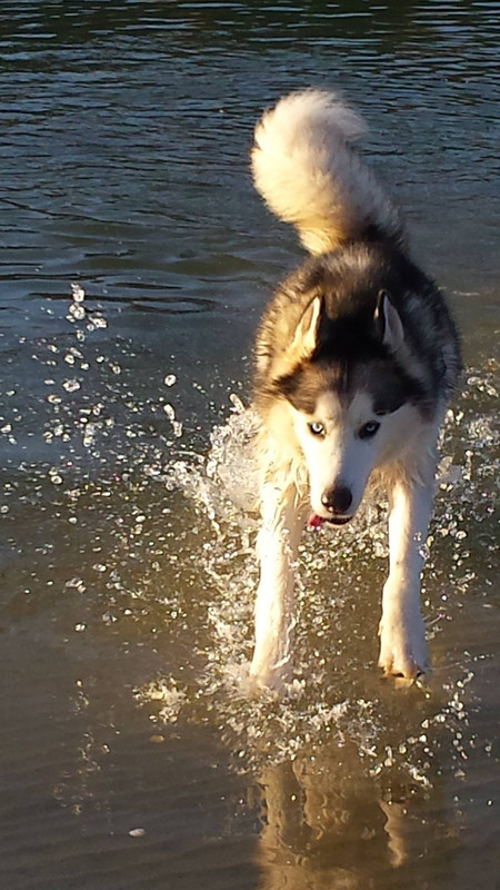 18559003_1769130046436698_7562895766925002041_o (1)