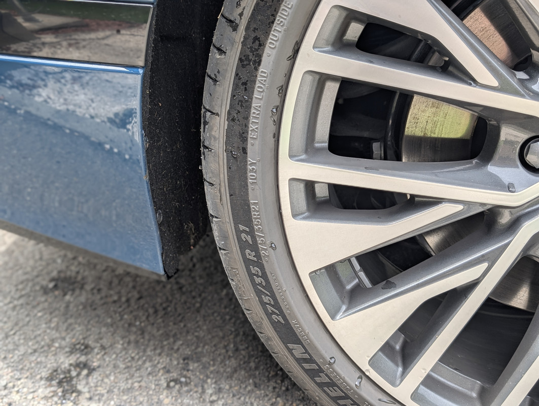 PXL_20250615_114225290.PORTRAIT